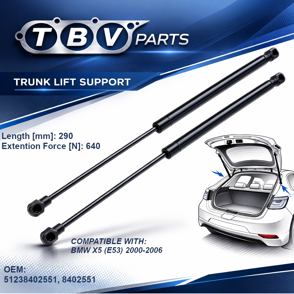 2X AMORTIGUADORES DE PRESIÓN DE GAS BMW X5 E53 512384025518402551 V20-0989 430719075400