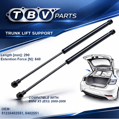2X AMORTIGUADORES DE PRESIÓN DE GAS BMW X5 E53 512384025518402551 V20-0989 430719075400