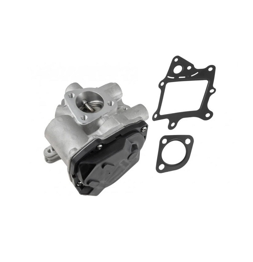 VALVULA EGR FIAT CITROEN PEUGEOT 2.3D 3.0D  71795127, 504373660, 71795169, 71795170, 162645