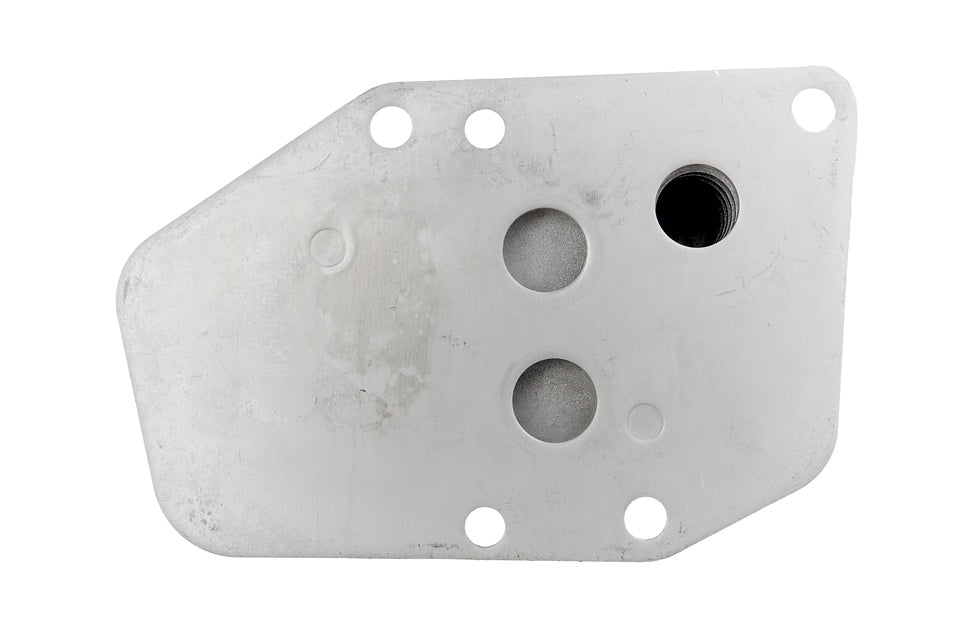 RADIADOR DE ACEITE BMW 3 E46 318D,320D 11427787698 7787698 8MO376765714 8MO376761134