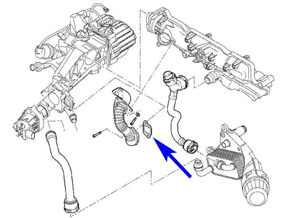 TAPON DE LA VALVULA EGR FIAT ALFA ROMEO OPEL SAAB LANCIA JEEP SUZUKI 1.6 1.9 2.0 JTD JTDM CDTI TTID